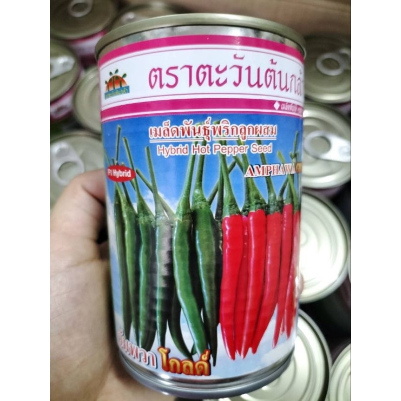 เมล็ดพันธุ์พริกลูกสมอัมพวาโกลด์