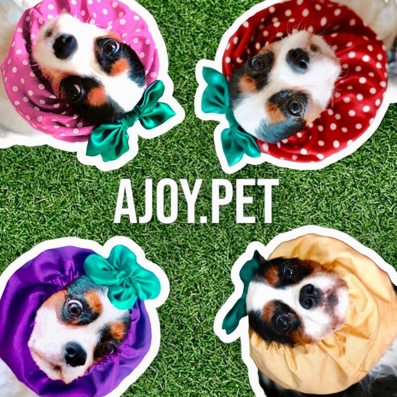 Dog Sood ที่เก็บหูสุนัข