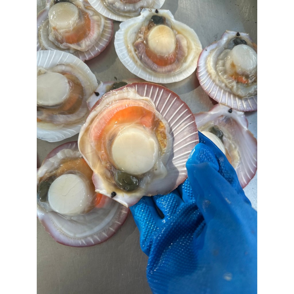 หอยเชลล์ แกะสด 199บาท 300 กรัม จากเรือประมง ปลอดสารทุกชนิด ขาวธรรมชาติ - รูปที่ 4