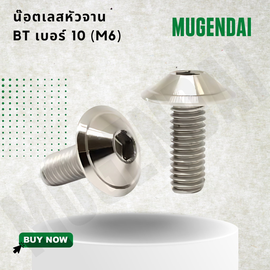 น๊อตเลสหัวจาน BTเบอร์ 10