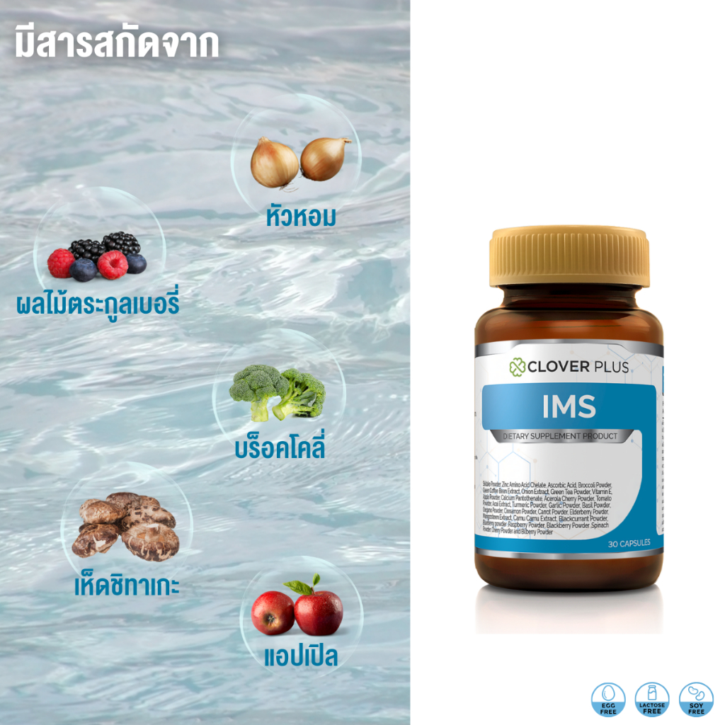 แพ็คคู่ Clover Plus 19 Multivit & Mineral รูปที่ 6