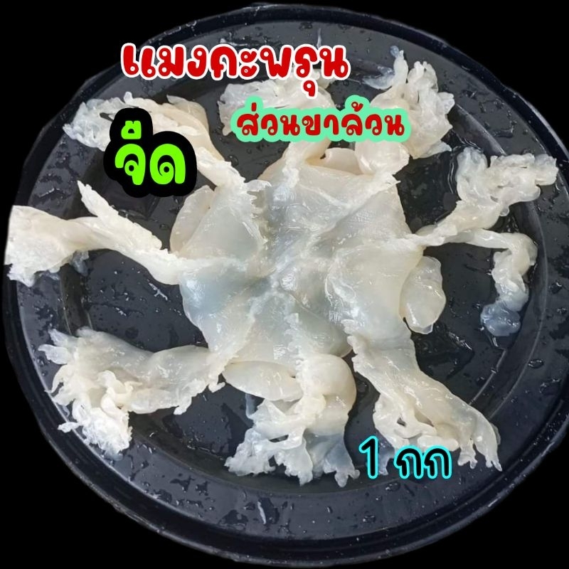 เเมงกระพรุนจืด (ขาล้วน) ลวกทานได้เลย น้ำหนักเต็มกิโล (เเพ็ค1กก)