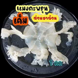 แมงกะพรุนเค็ม (ขาล้วน) แช่น้ำก่อนประกอบอาหาร  น้ำหนักเต็ม1กิ…