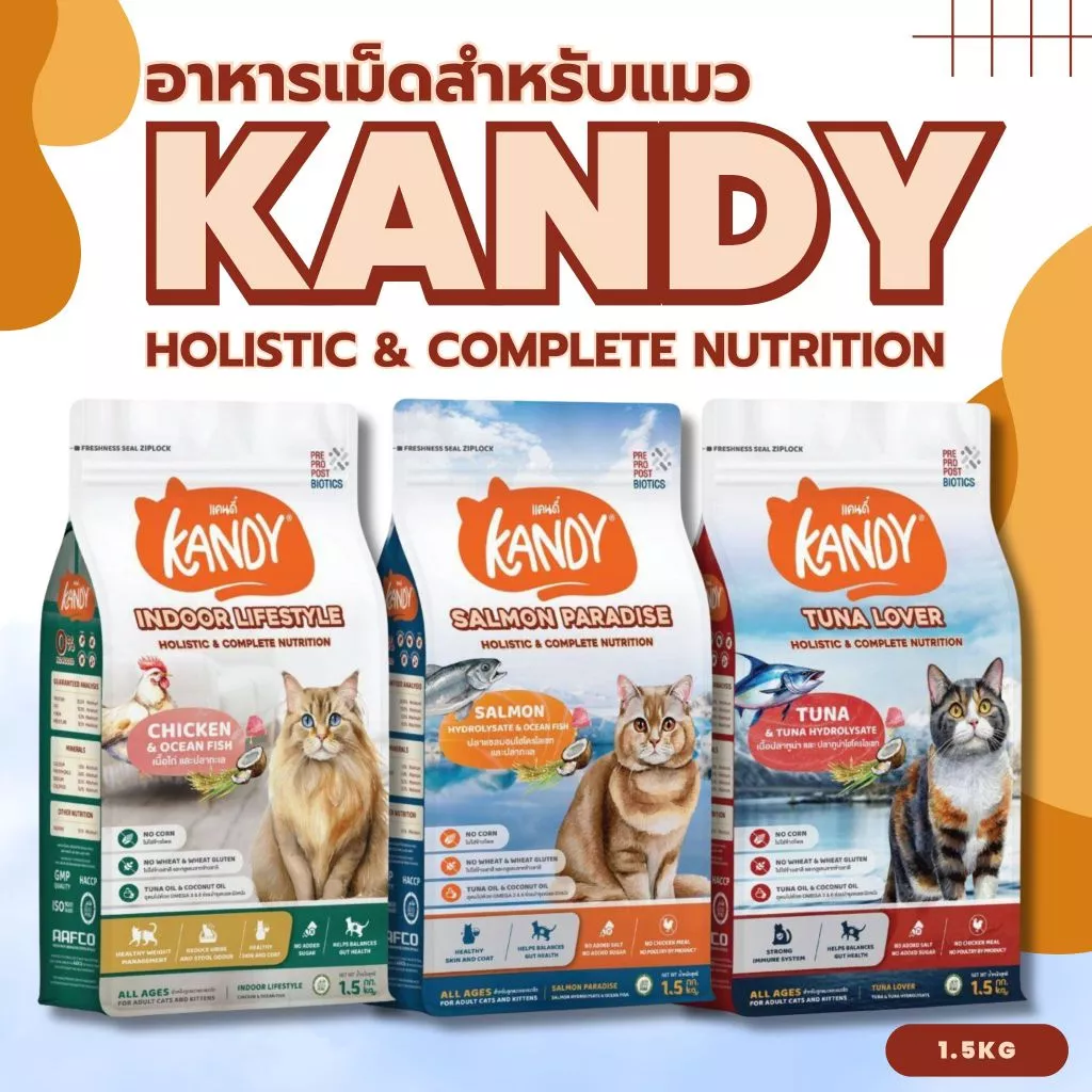 Kandy แคนดี้ อาหารแมวโฮลิสติก สำหรับแมวทุกช่วงวัย กลูเตนฟรี ไม่เติมเกลือ เสริมภูมิคุ้มกัน ขนาด 1.5kg