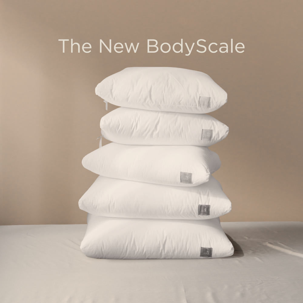 mr.big BodyScale Pillow หมอนหนุน Ergonomic เลือกตามน้ำหนักส่วนสูงเเละท่านอน