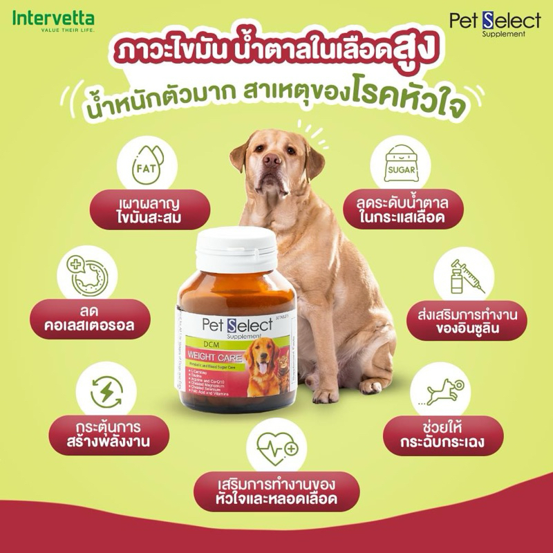 (( หมดอายุ 17/03/2027)) Pet select dcm weight care จำนวน 30 เม็ด