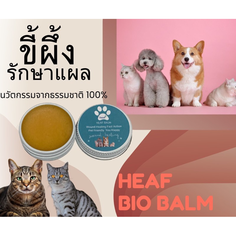 แผลหายเร็ว แผลสวยสะเก็ดลอกออกง่าย !!! นวัตกรรมขี้ผึ้งรักษาแผลอักเสบ แผลเรื้อรังหายไว น้องเลียได้ 1 Heaf Bio Balm 15 ml