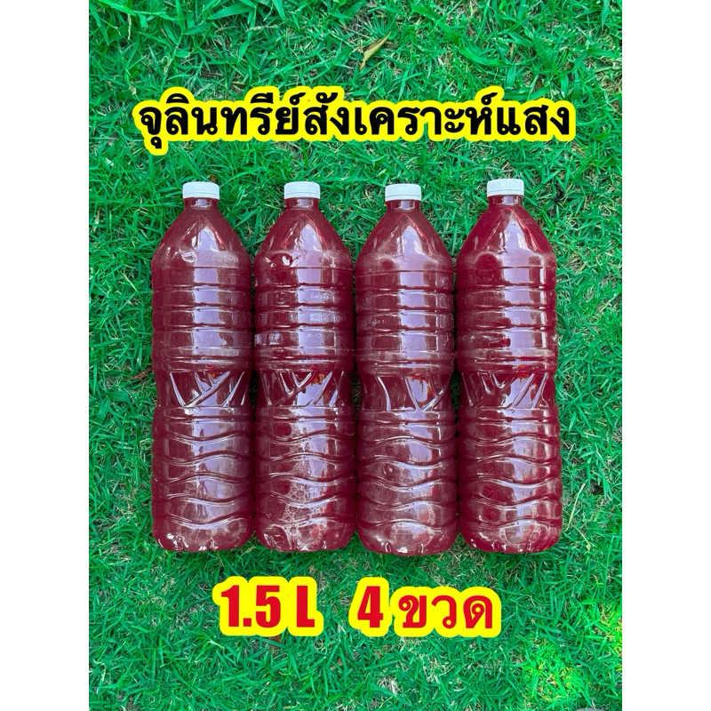 ชุดจุลินทรีย์สังเคราะห์แสง 4 ขวดใหญ่ NPK ปุ๋ย ปุ๋ยสูตร ดอก ผล ดก บำรุงต้นพืช บำรุงดิน ต้นไม้ อามิอามิ ชุดทำน้ำเขียวไรแดง