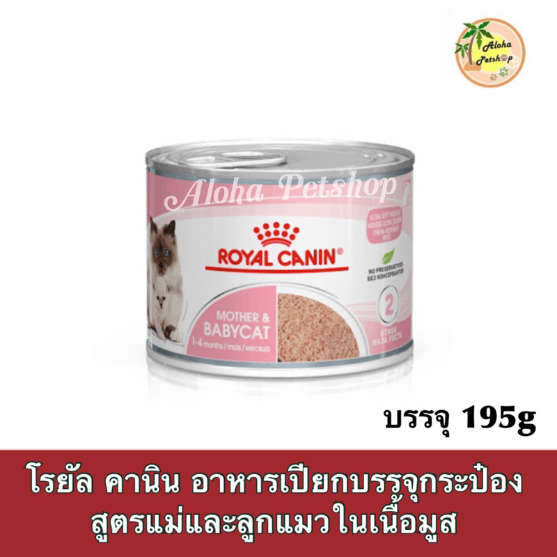 Royal canin Babycat Cans 195g❤️😺โรยัล คานิน เบบี้แคท 195g