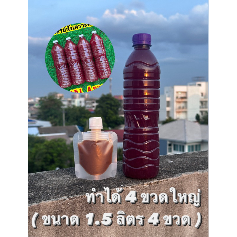 ชุดทำจุลินทรีย์สังเคราะห์แสง 1 ชุดทำได้ 4 ขวดใหญ่ พร้อมวิธีทำ NPK ปุ๋ยปุ๋ยสูตร ดอก ผล ดก บำรุงต้นพืช บำรุงดิน ต้นไม้