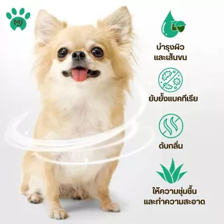 MJ Pet Care Wipes 100 แผ่นใหญ่ ทิชชู่เปียก หมา,แมว ทิชชู่เปียกสัตว์เลี้ยง Pet Wipes