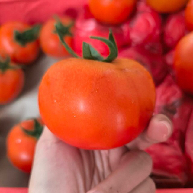 มะเขือเทศเนื้อ สีแดง 1 กิโลกรัม