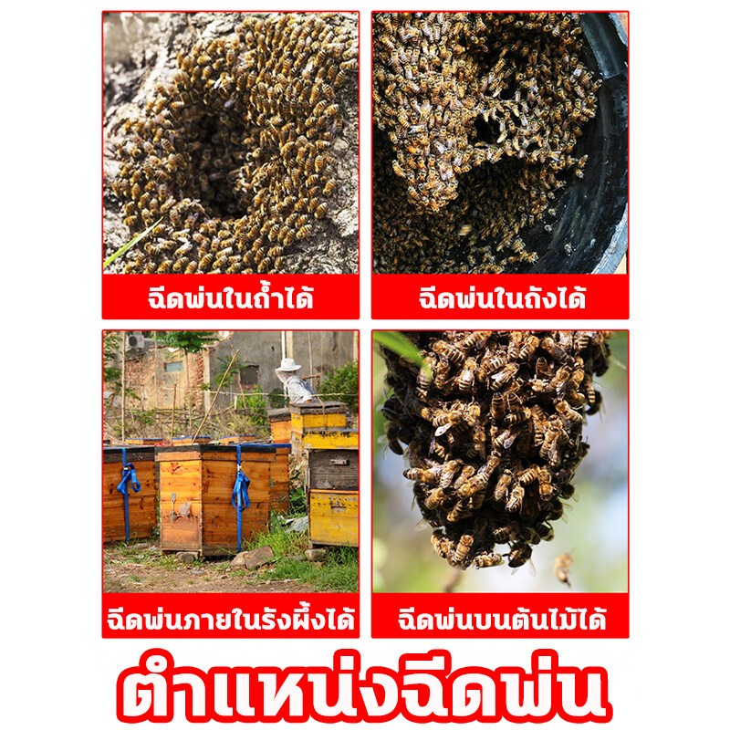 🐝ผึ้งมาทันที🐝เก็บผึ้งทั้งฝูง หัวเชื้อล่อผึ้ง ใช้ดีกว่าไขผึ้ง ฟีโรโมนล่อผึ้ง สูตรเข้มข้น ฟีโลโมน ล่อผึ้งไขผึ้งธรรมชาติ - รูปที่ 3