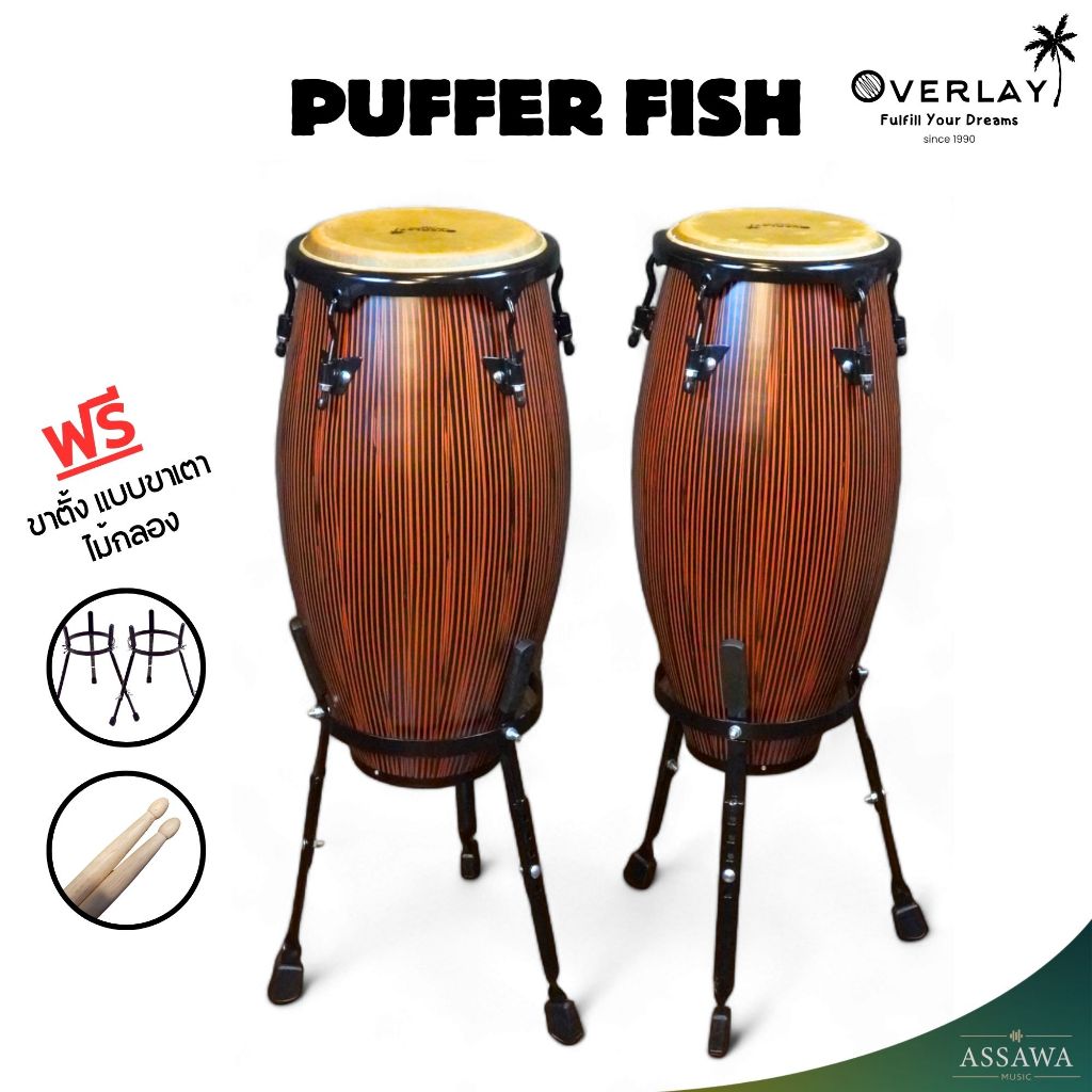 Overlay 🥁 กลองทอมบ้า Tomba ไม้ oak wood Conga คองก้า กลองกีฬาสี ฟรีขาตั้ง แบบขาเตา และ ไม้กลอง 10,11 นิ้ว