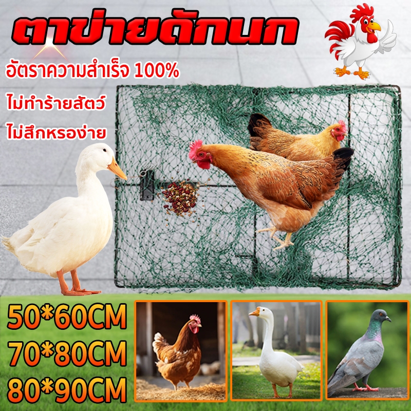 กับดักไก่  กับดักไก่แบบตาข่าย  ไม่สึกหรอง่าย การจับไก่เป็ดหรือนกอย่างง่ายๆ สปริงคุณภาพสูง โครงสแตนเลส