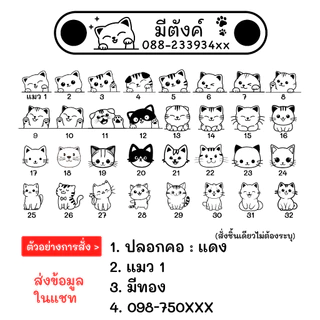 ป้ายชื่อแมวพร้อมปลอกคอ สลักชื่อ ป้ายสแตสเลส ตอกกับปลอกคอ