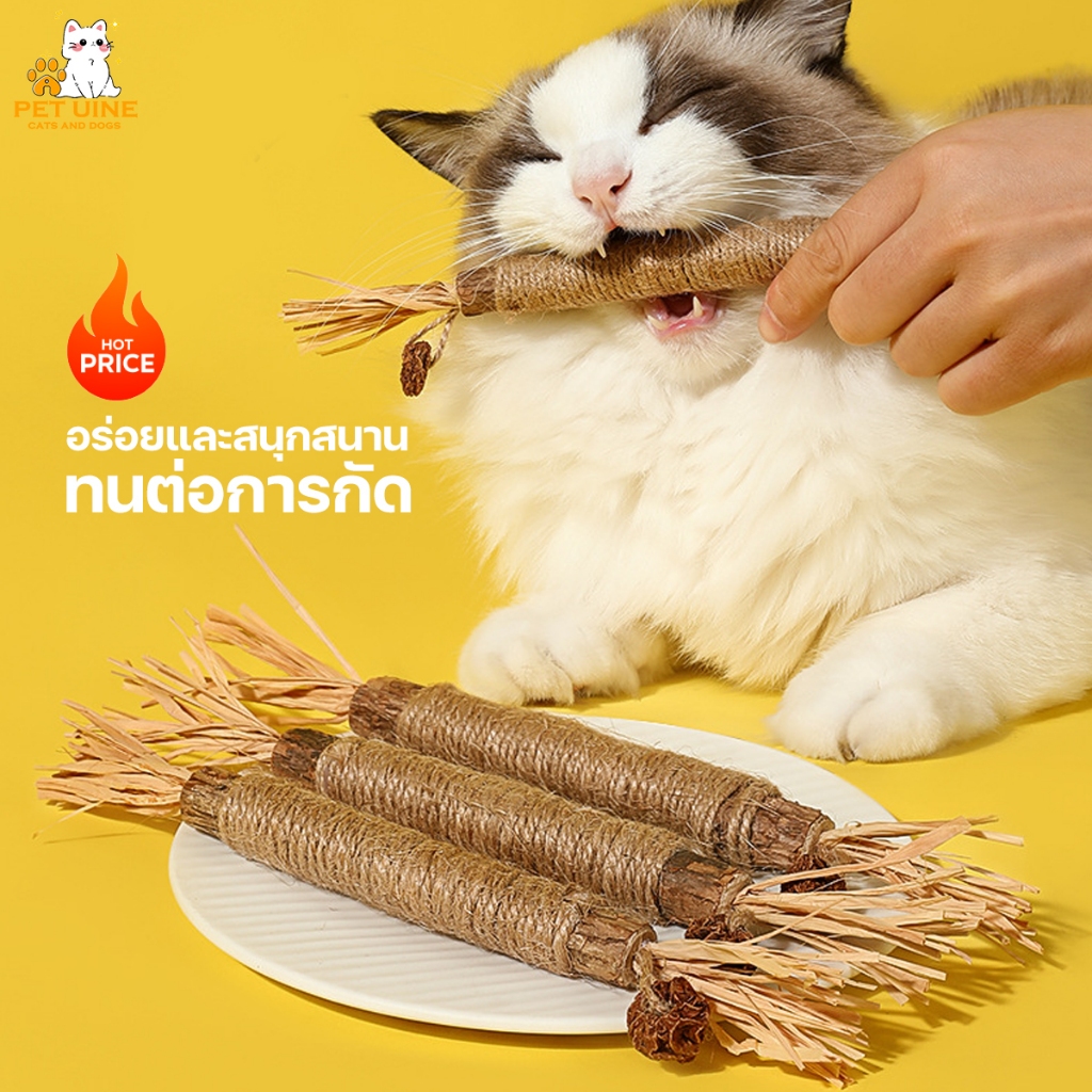 PET UINE-B8 ไม้มาทาทาบิขัดฟันแมว ไม้มาทาทาบิ ไม้ขัดฟันแมว หวายทำความสะอาดฟัน