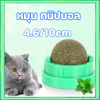 แคทนิปอมยิ้มเสียบไม้มาทาบิสมุนไพรแมวฟินแคทนิปแมวกัญชาแมว(ของเล่นแมว) 😻กัญชาแมว แคทนิปบอล ติดกําแพง ไม่กลิ้งหาย