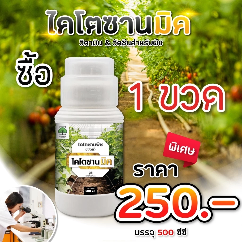 (1ขวด) ไคโตซานมิค ไคโตซานพืช สูตรพืช เสริมภูมิต้านทาน โรคพืช เชื้อรา ไวรัส แบคทีเรีย สูตรพืช 500 ซีซี