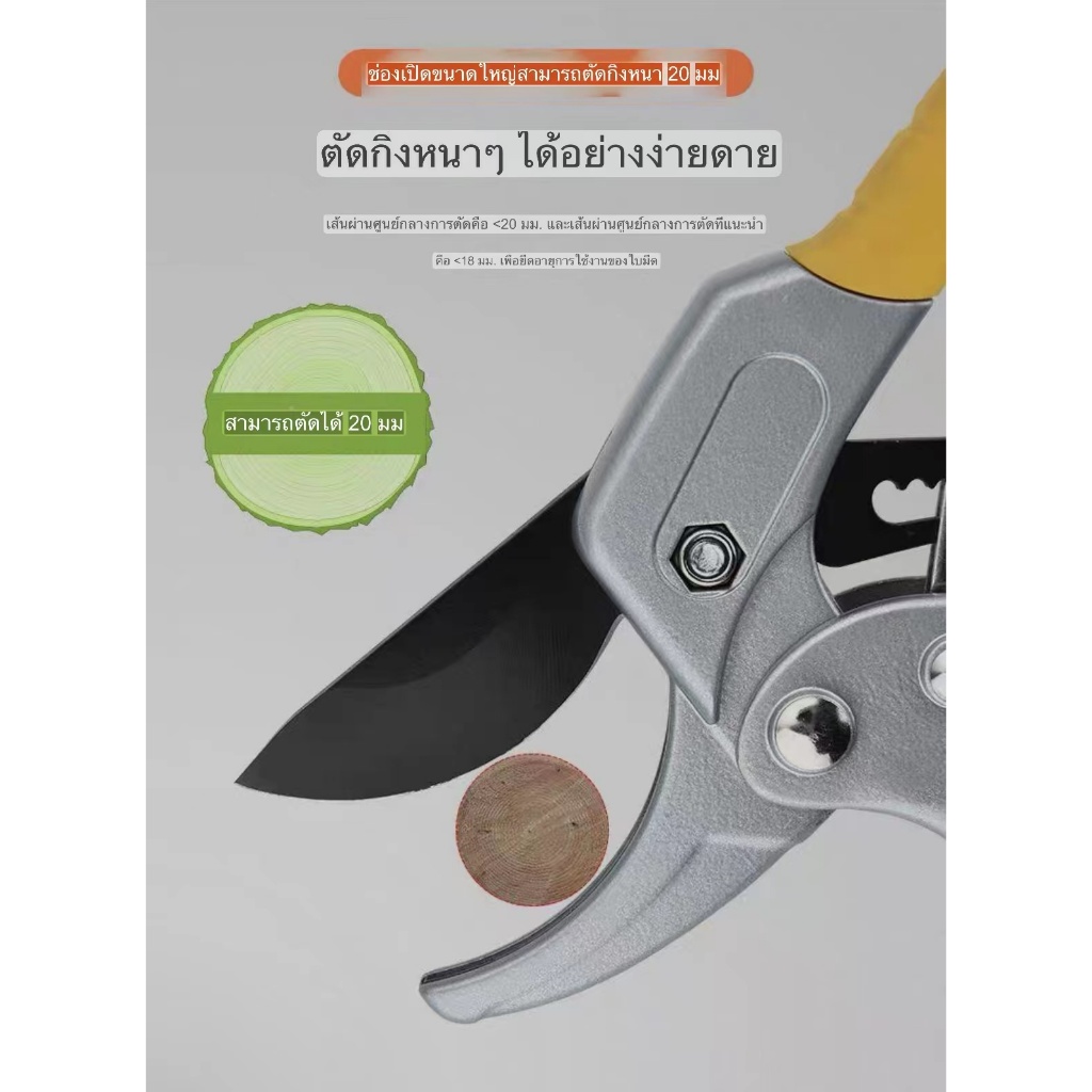 กรรไกรตัดกิ่งไม้ 3 จังหวะ ใบมีด SK5 แท้ เกรดอุตสาหกรรม (สำหรับงานหนัก)ของดีT65 - รูปที่ 4