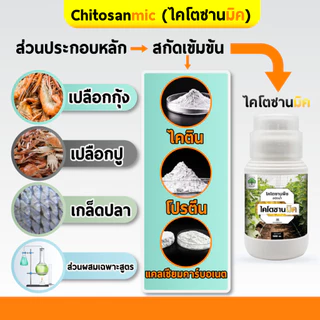 (1ขวด) ไคโตซานมิค ไคโตซานพืช สูตรพืช เสริมภูมิต้านทาน โรคพืช เชื้อรา ไวรัส แบคทีเรีย สูตรพืช 500 ซีซี