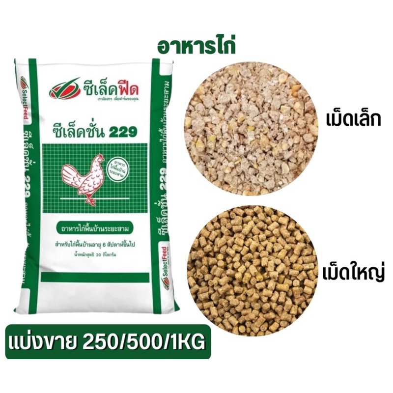 อาหารไก่เล็ก แบ่งขาย50,100,200,300กรัม อามิ อามิ ไรแดง น้ำเขียว สาหร่ายคลอเรลา ไข่ไรแดง Macrocopa ปลา อาหารปลา
