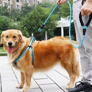 yoyopet : สายจูงฝึกสุนัข Training leash เชือกยาว 2 เมตร สายจูงหมา เชือกจูงสัตว์เลี้ยง สะท้อนแสง