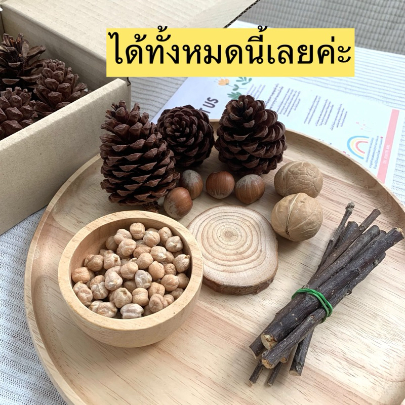 ชุดsensory play ธีมธรรมชาติ ชุดเล็ก ของเล่นปลายเปิดสไตล์มอนเตสซอรี่ วอลดอร์ฟ ลูกสน ไม้แอปเปิล ฝึกประสามสัมผัส