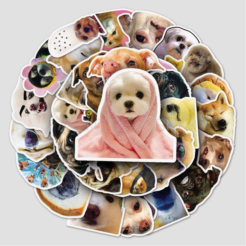 ขายดี Sticker S71 สติกเกอร์กันน้ำ ลายสุนัขตลก สำหรับตกแต่ง งาน DIY จำนวน 50 ชิ้น