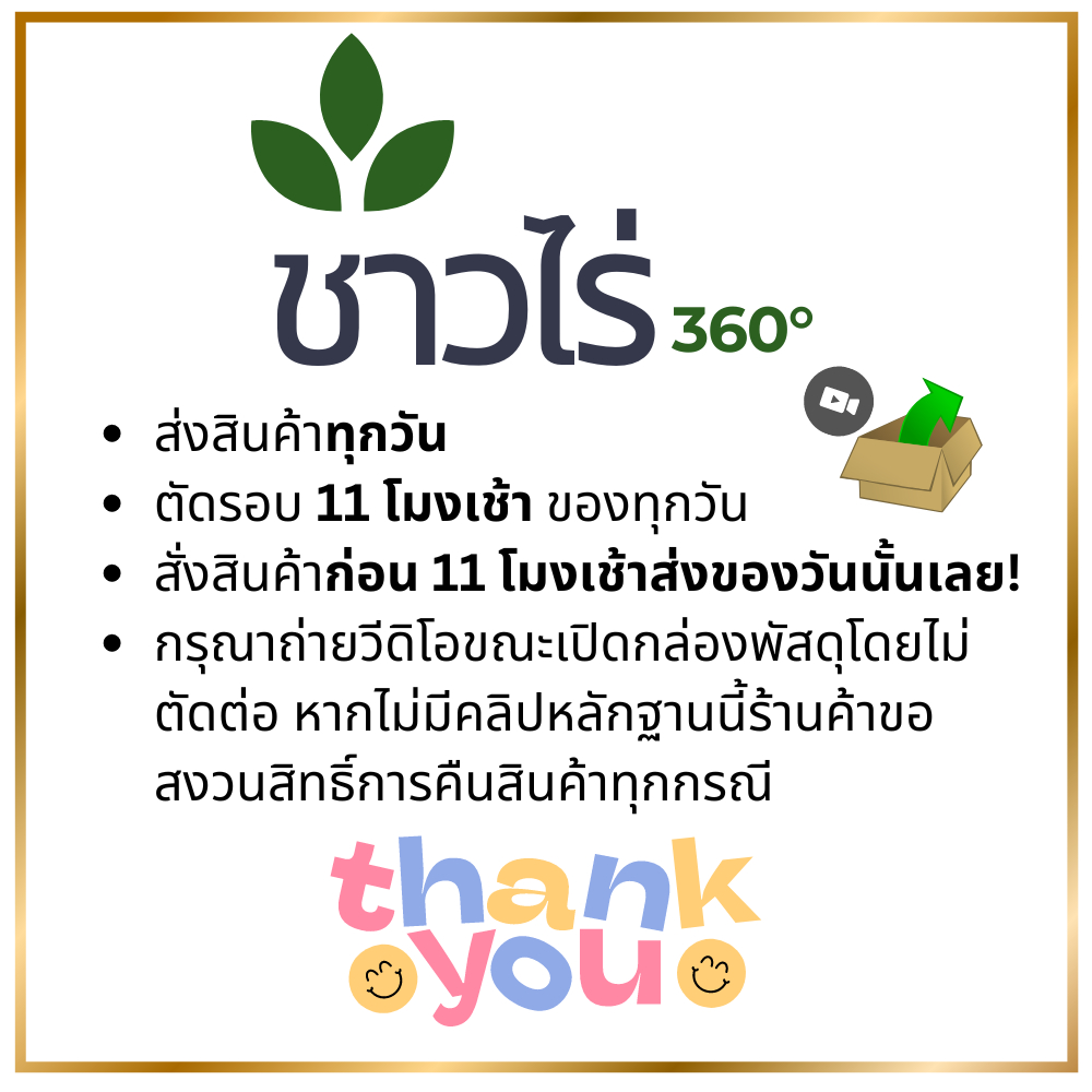 ไฮเคน 100 มิลลิลิตร ฟิโพนิล fipronil ตราเที่ยงตรง [ไฮนิเคน] สารกำจัดแมลง ยาฆ่าปลวก กำจัดปลวก ด้วงหมัดผัก หนอน เพลี้ย - รูปที่ 2