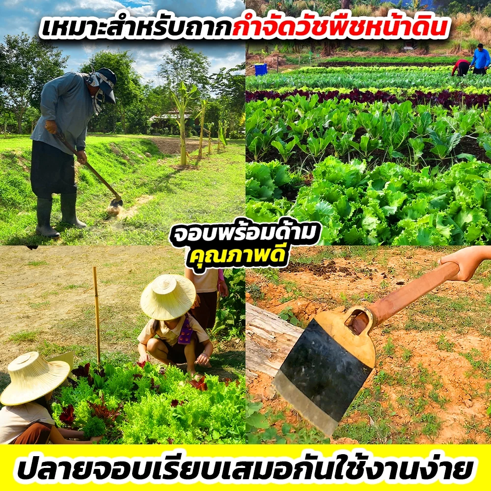 จอบพร้อมด้าม ตราจระเข้ รุ่น CJ0076 เหล็กกล้า thumbnail 4