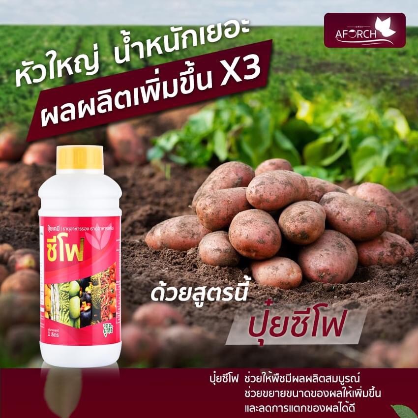 ซีโฟ ปุ๋ยน้ำซีโฟ 1 ลิตร บำรุงผล เร่งการเติบโตผล ผลดกใหญ่ ยืดอายุการเก็บเกี่ยว ผลผลิตเพิ่ม