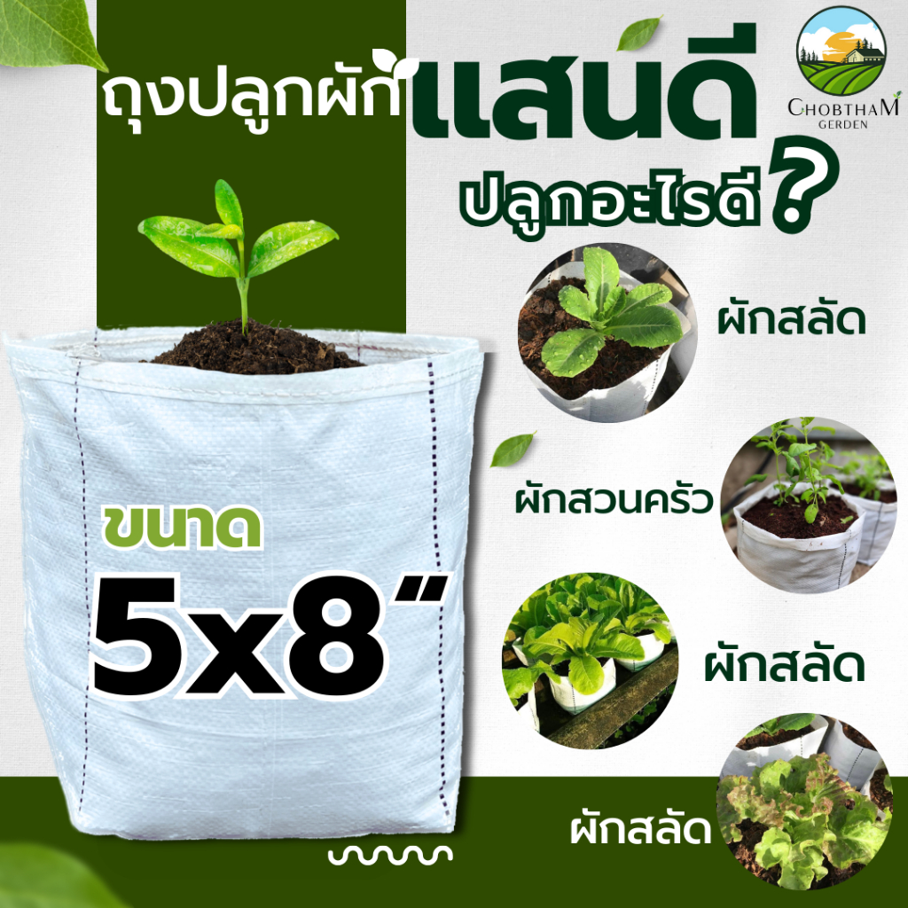 รูปภาพ 5