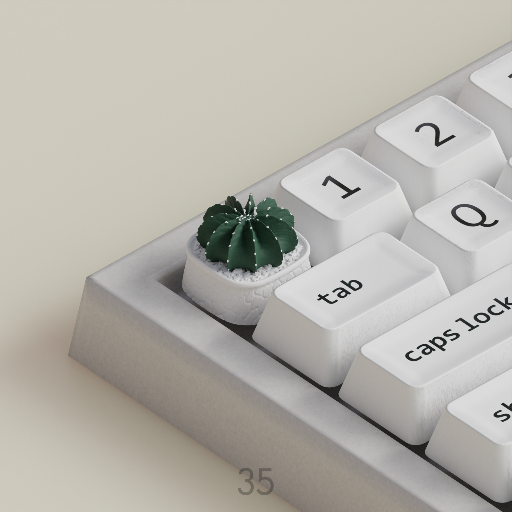 (พร้อมส่ง) (35) คีย์แคปกระบองเพชร "LB 2178" ปุ่มคีย์บอร์ด แต่งคีย์บอร์ด | LB 2178 Keycap