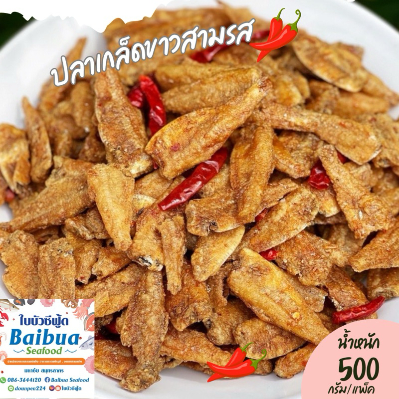 ปลาเกล็ดขาวสามรส 500 กรัม ปลากรอบ ไม่ผสมแป้ง กรอบอร่อย ไม่เหม็นหืน ถุงซิปล็อก ส่งไว ราคาคุ้มค่า รูปที่ 8