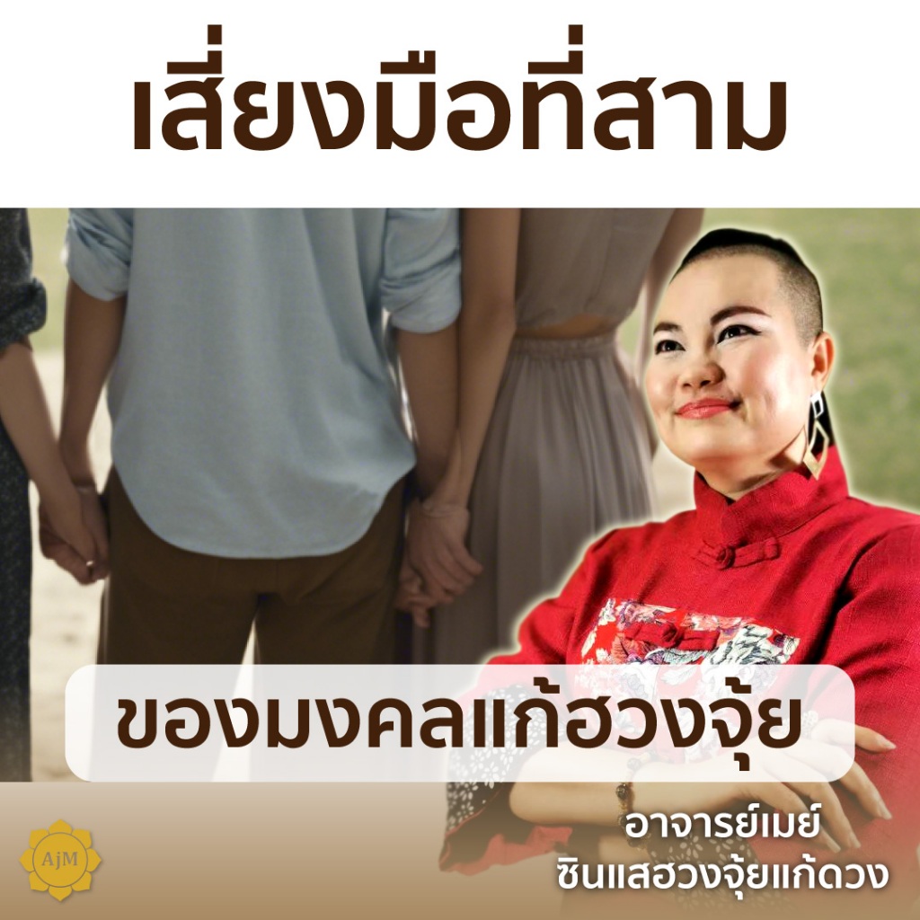 AJANMAY โมบายฮวงจุ้ย รักมั่นคง ป้องกัน มือที่3 ม้า เป็ดแมนดาริน นกคุ้ม กระดิ่งลม