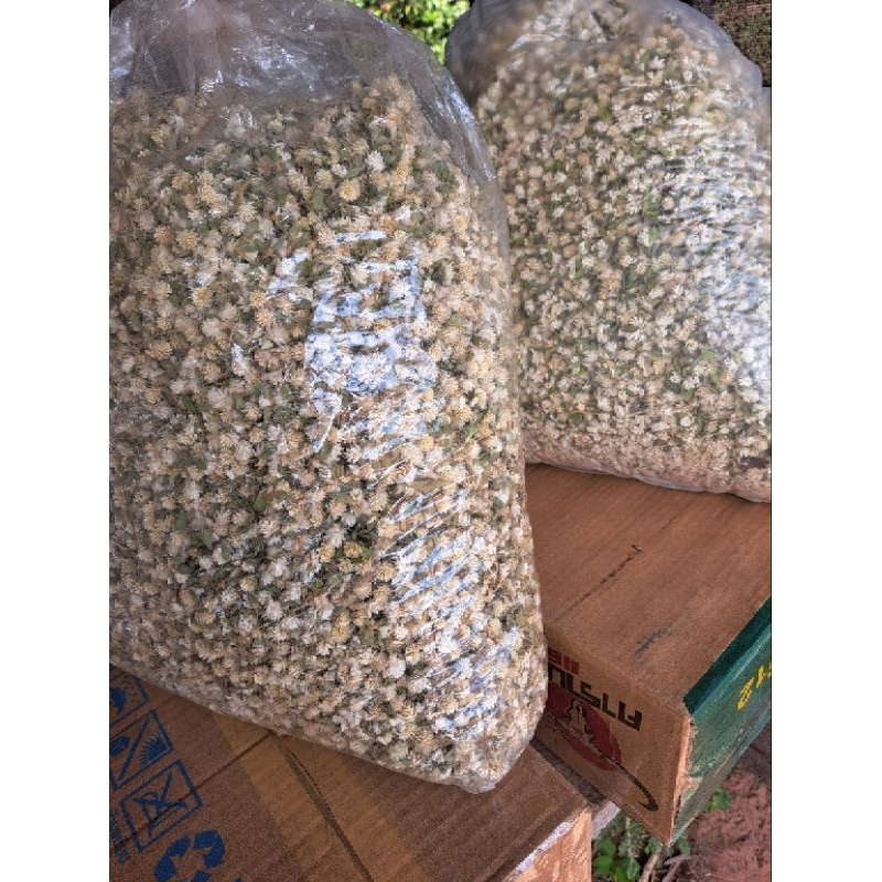 บานไม่รู้โรยป่าแห้ง AA500กรัม650บาทพร้อมส่ง