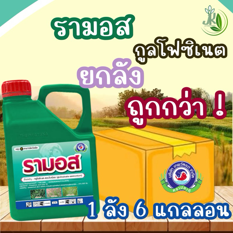1ลัง 6แกลลอน กลูโฟซิเนต แอมโมเนียม 15%(รามอส ขนาด4ลิตร)ใช้ในสวนทุเรียน สวนยางพารา หญ้าตีนกาหญ้า ขจรจบดอกใหญ่ หญ้าตีนนก