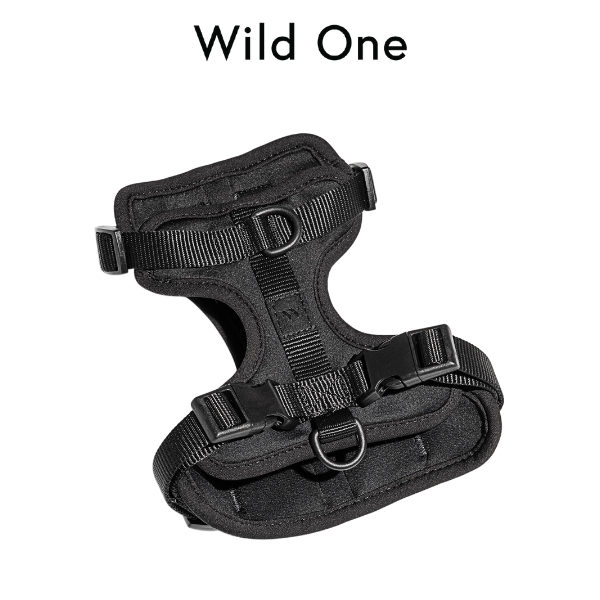 Wild One - Harness สายรัดอกสุนัข │ Black 🖤