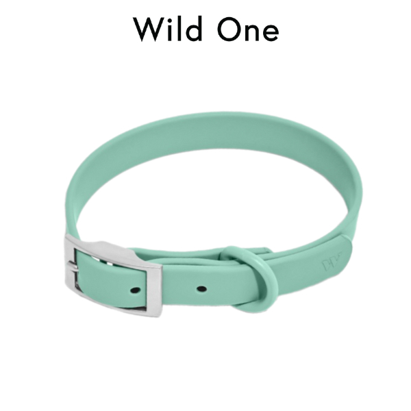 Wild One - Collar ปลอกคอสุนัข Seafoam