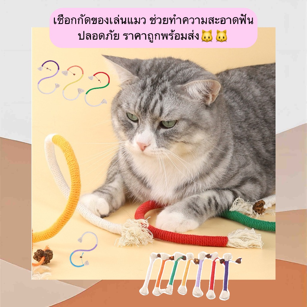 PP-1203 เชือกกัดของเล่นแมว ช่วยดูแลความสะอาดฟัน ปลอดภัย ใช้งานได้ดี ราคาถูก พร้อมส่ง🐱🐱