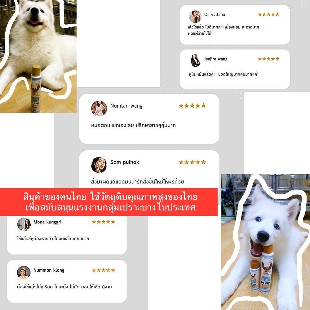 Petsmile غسول أذن طبيعي للكلاب 100 مل — صورة 6
