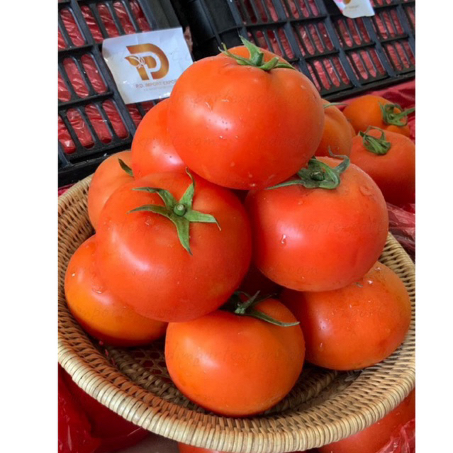 พร้อมส่ง‼️(1kg) 🍅มะเขือเทศเนื้อ สายพันธุ์ญี่ปุ่น