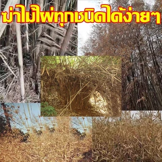🪓การจัดส่งในประเทศไทย🪓ยาฆ่าหญ้า สารกําจัดกอไผ่ ใช้กำจัดวัชพืชได้ทุกชนิด ไม่เป็นอันตรายต่อคนและสัตว์เลี้ยง