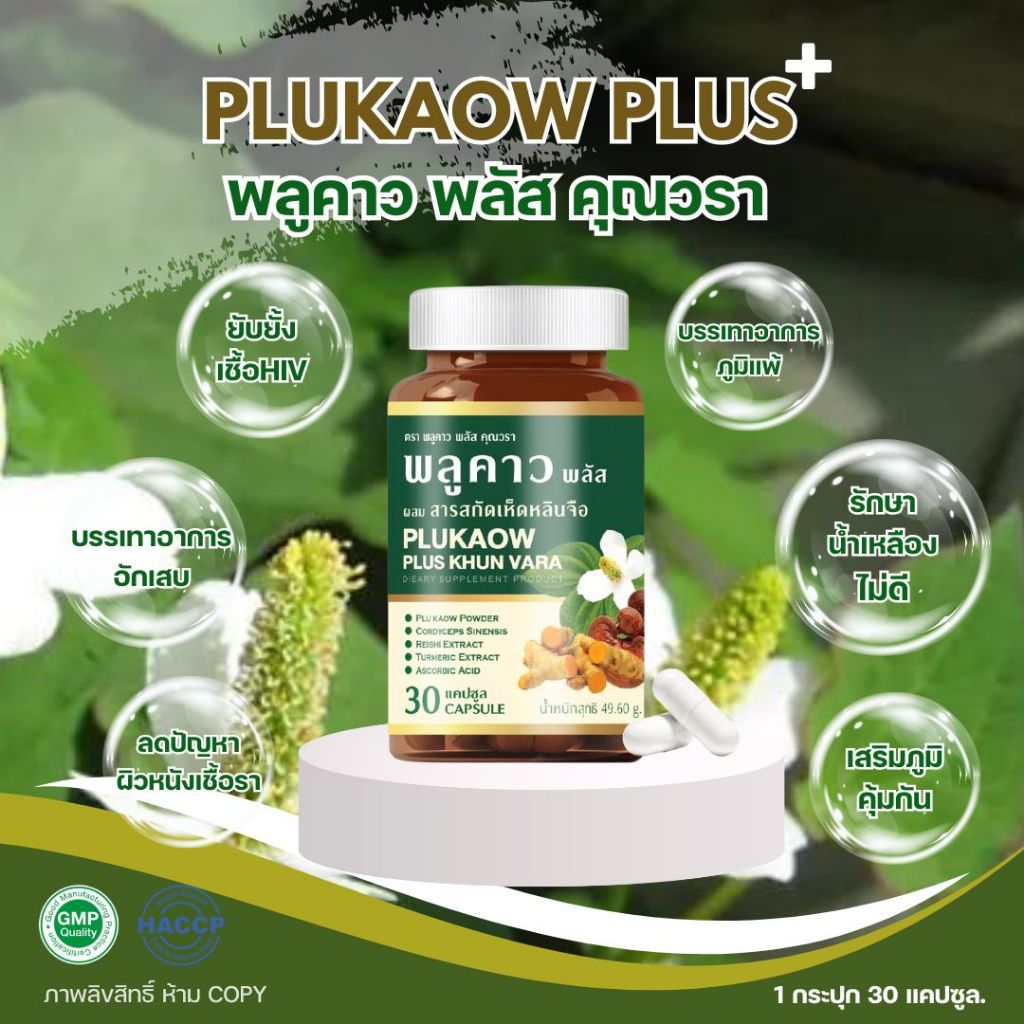 ส่งฟรี ( 1 แถม 1 ) Plukaow Plus Khun vara พลูคาว พลัส คุณวรา เสริมภูมิคุ้มกัน ฟื้นฟูเซลล์ผิว
