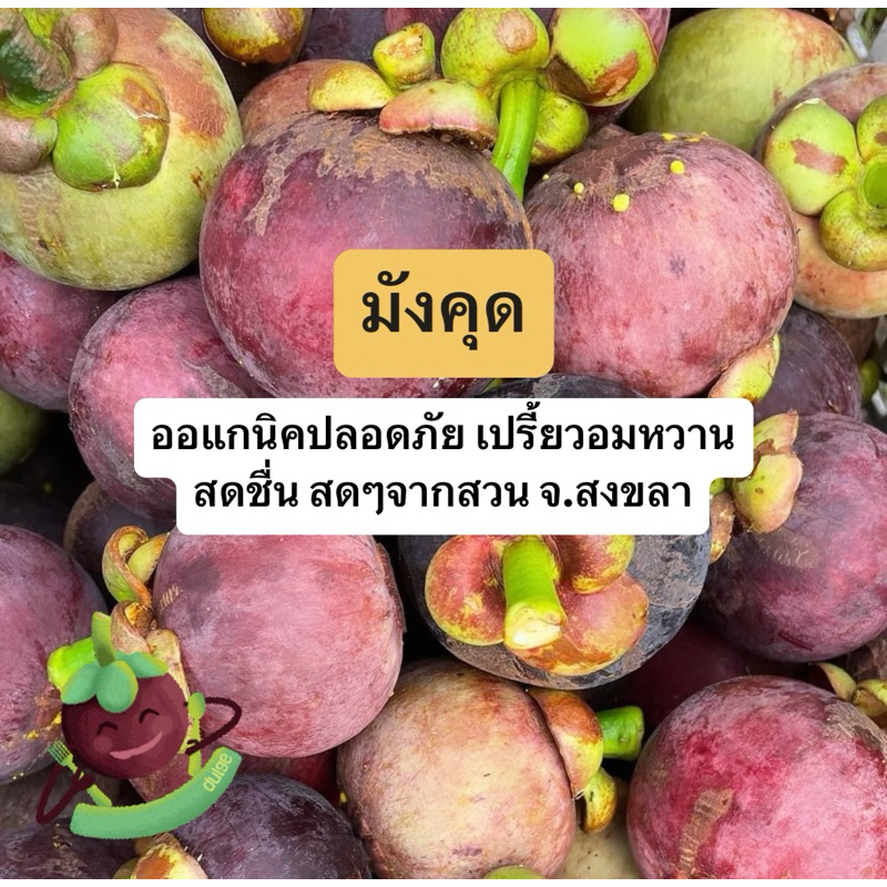 [ส่งภายใน 3 วัน] มังคุดคละไซส์ ออแกนิคไร้สารพิษ สดๆจากสวน จ.สงขลา