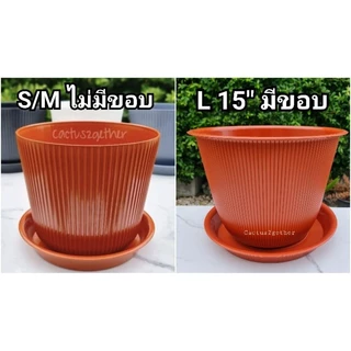 กระถางลายลอนขนาดใหญ่ขนาด12"/10"(พร้อมจานรอง)