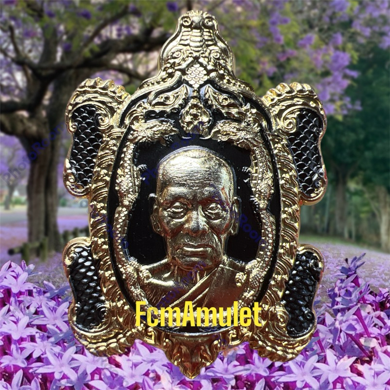 หลวงพ่อพัฒน์ รวมรุ่นเหรียญพญาเต่ามังกร พญาเต่าเรือน