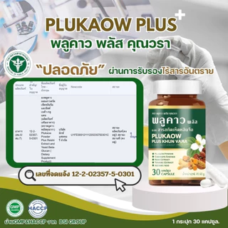 ส่งฟรี [1 แถม 1] Plukaow Plus พลูคาว 🌿 สมุนไพรแท้100% ลดคัน เสริมภูมิ ต้านเชื้อ