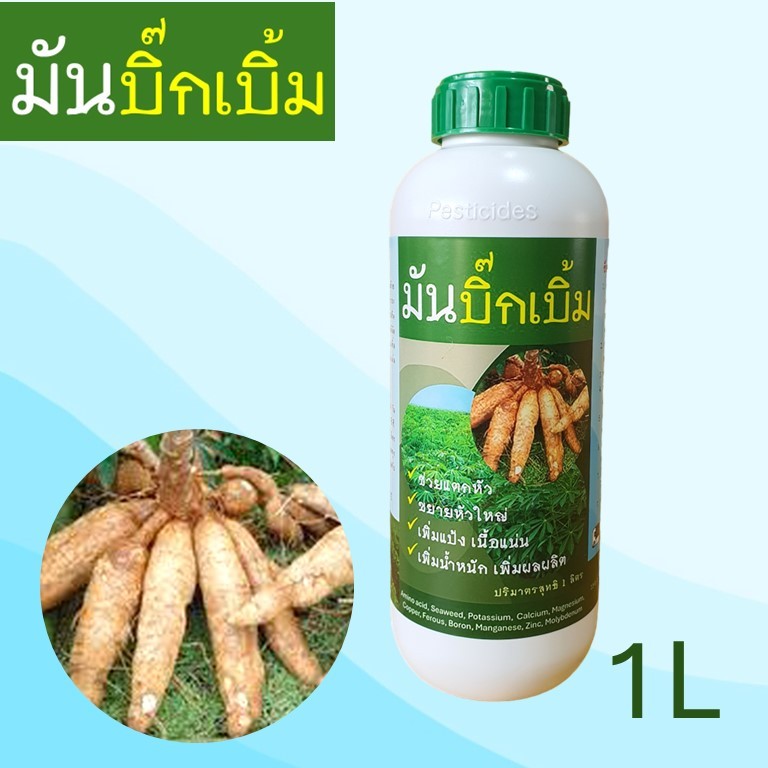 มันบิ๊กเบิ้ม (BB1) ปุ๋ยมันสำปะหลัง 1 ลิตร ช่วยแตกหัว ระเบิดหัว ขยายหัวใหญ่ เพิ่มแป้ง เนื้อแน่น เพิ่มน้ำหนัก เพิ่มผลผลิต
